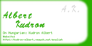 albert kudron business card